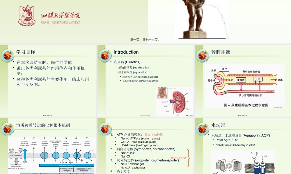 8-利尿药.pptx