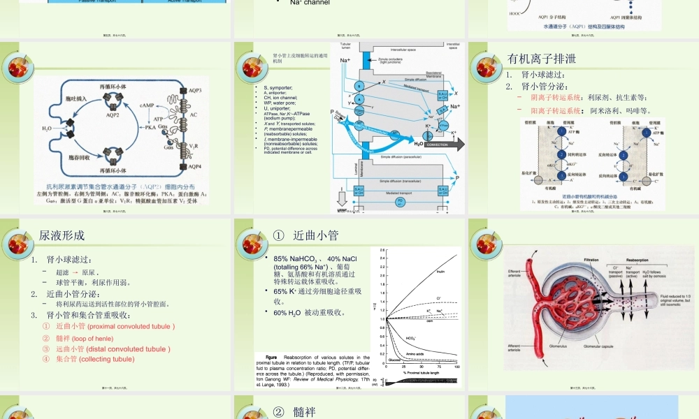 8-利尿药.pptx