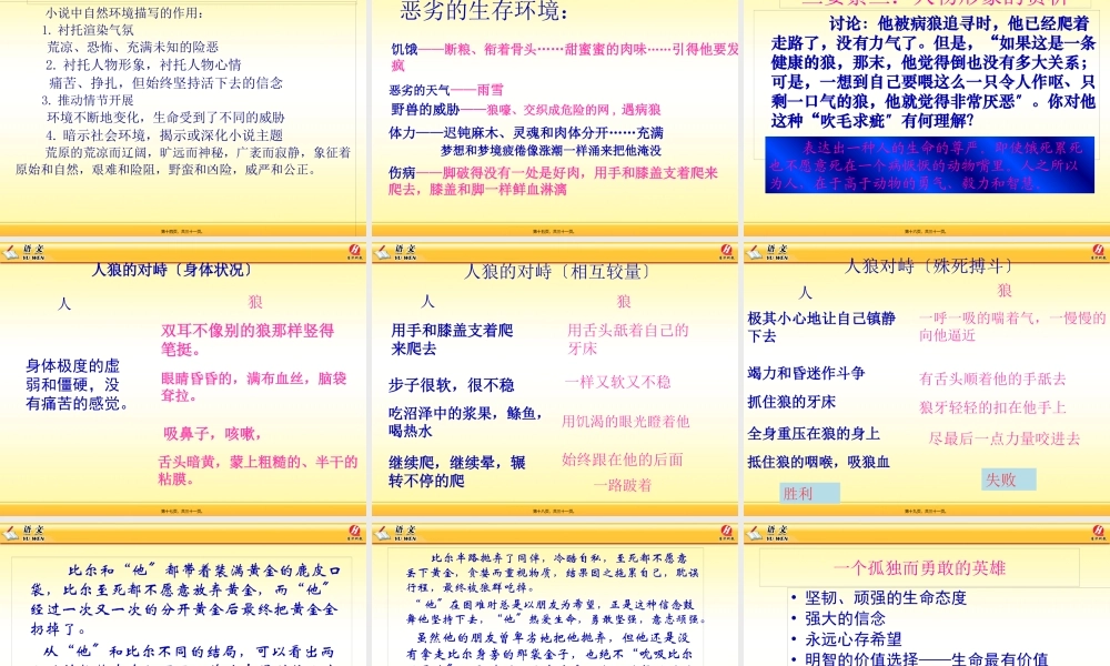 8-热爱生命(节选)概述.pptx
