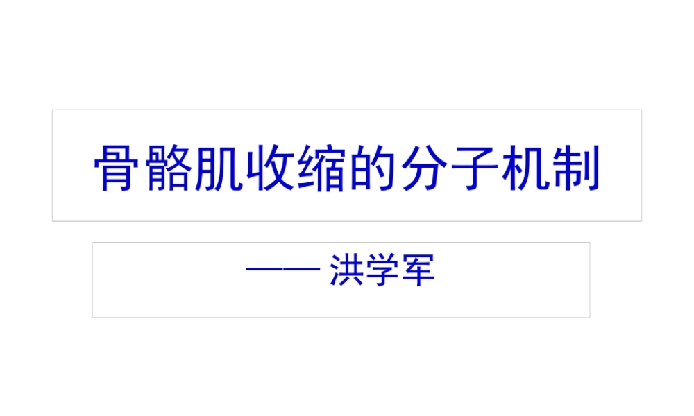 8-骨骼肌收缩的分子机制.pptx