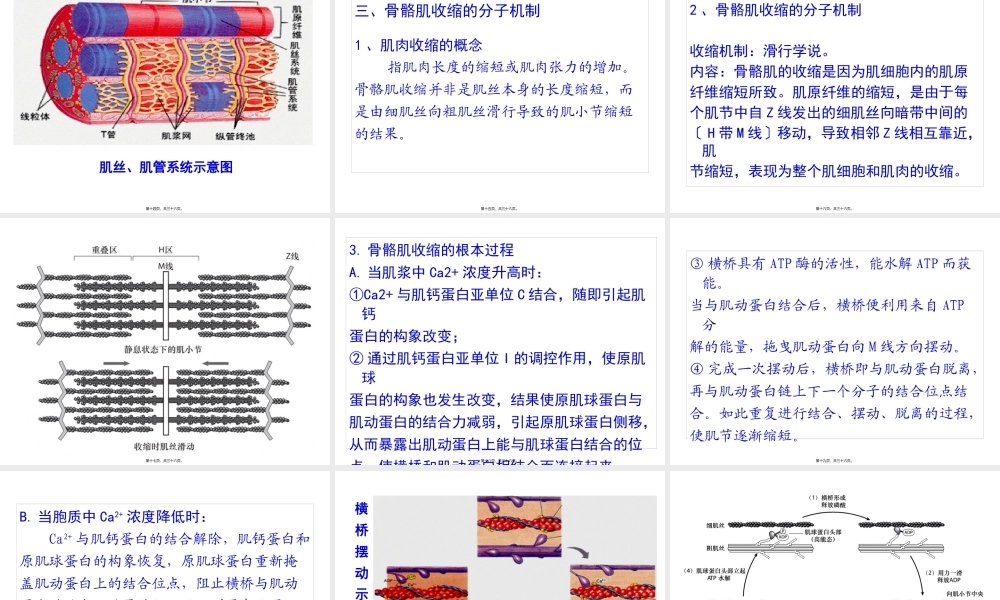8-骨骼肌收缩的分子机制.pptx