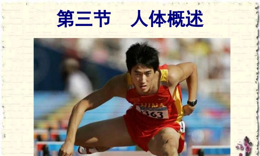 8.3人体概述(2).pptx