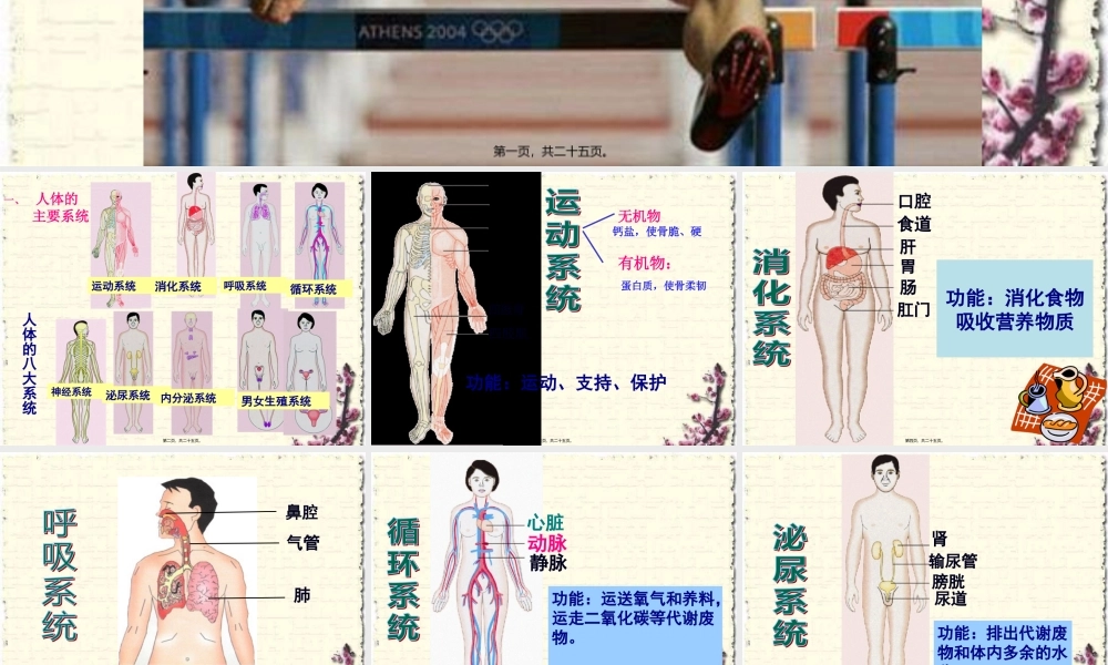 8.3人体概述(2).pptx