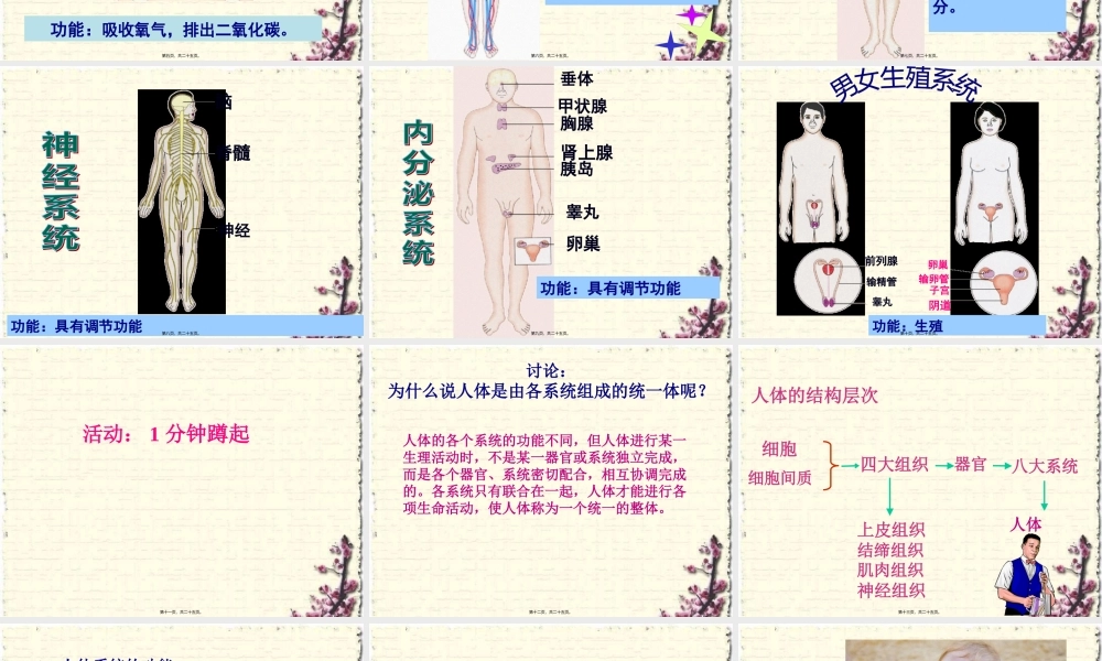 8.3人体概述(2).pptx