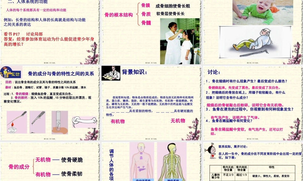 8.3人体概述(2).pptx