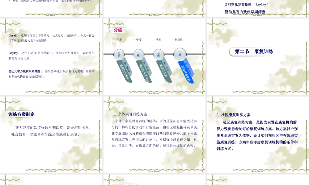 8.智力残疾的康复.pptx