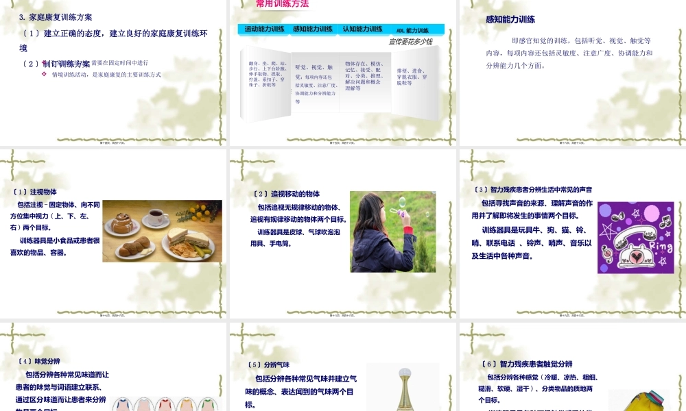 8.智力残疾的康复.pptx