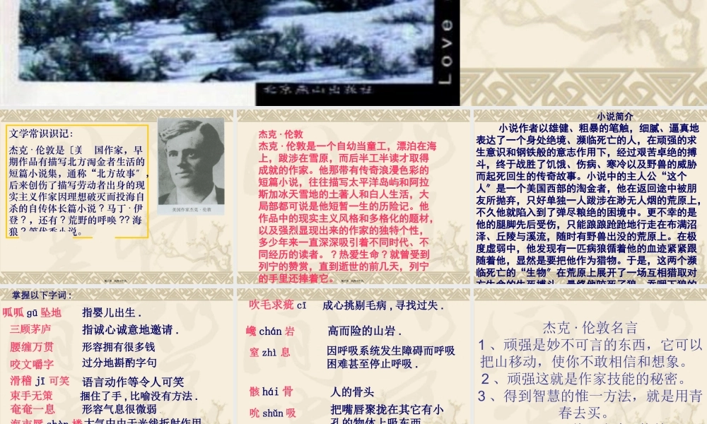 8.热爱生命汇总.pptx