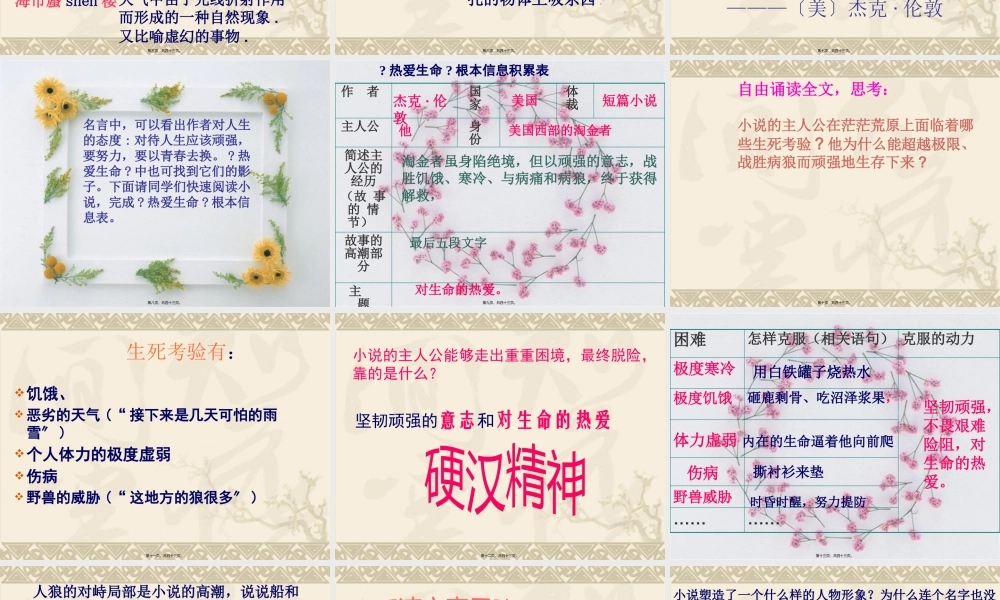 8.热爱生命汇总.pptx