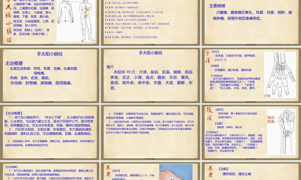 8.手太阳小肠经.pptx