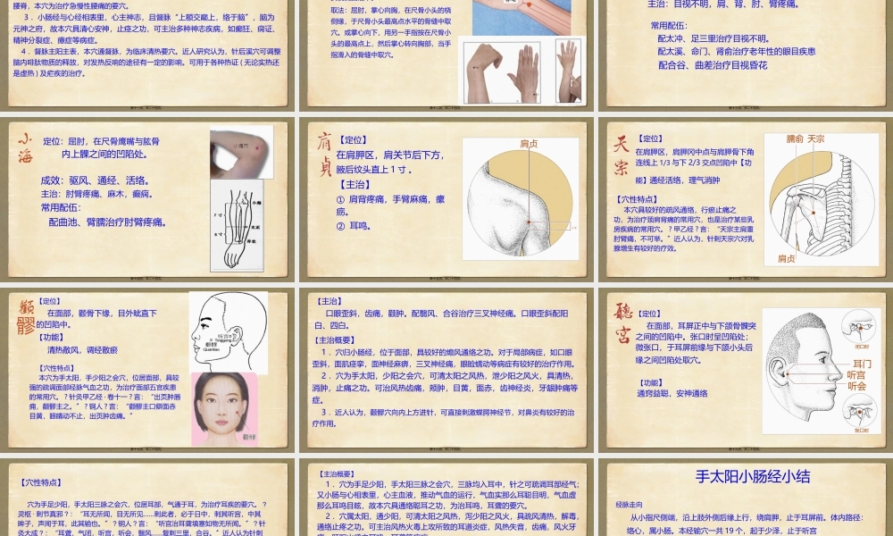 8.手太阳小肠经.pptx