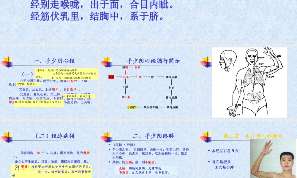 82人体经络穴位图谱5心经(1).ppt