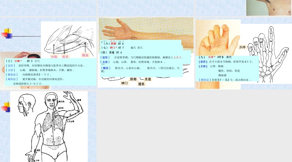 82人体经络穴位图谱5心经(1).ppt
