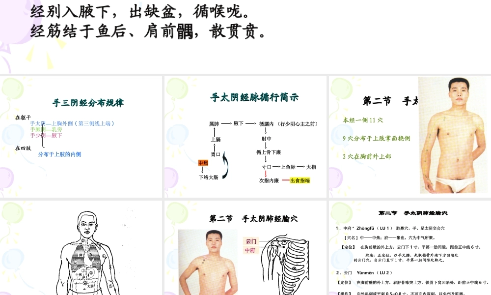 81人体经络穴位图谱1肺经(1).ppt