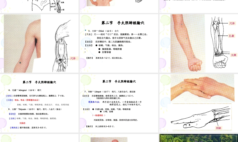 81人体经络穴位图谱1肺经(1).ppt