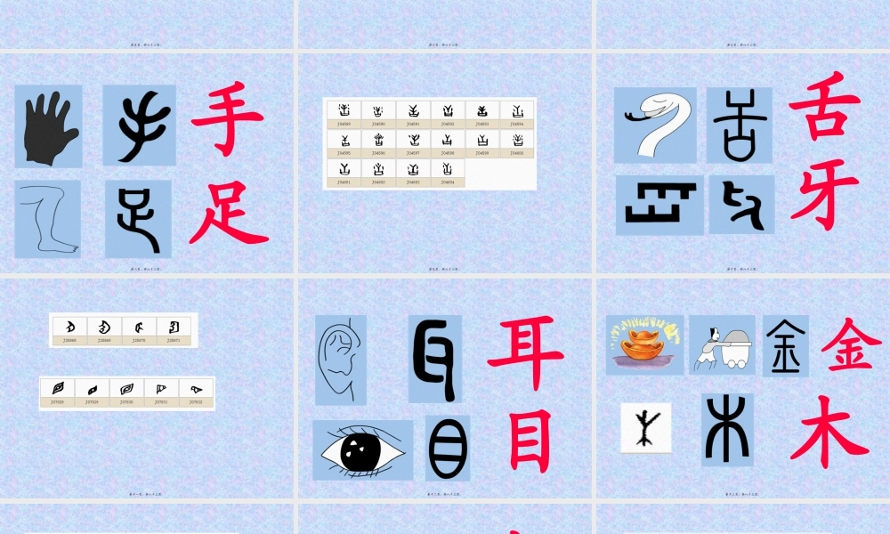 80个常见象形字-附大量甲骨文字形.pptx