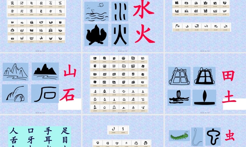 80个常见象形字-附大量甲骨文字形.pptx