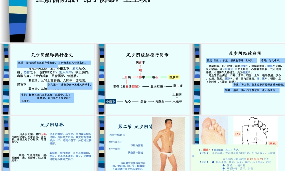 85人体经络穴位图谱8肾经(1).ppt