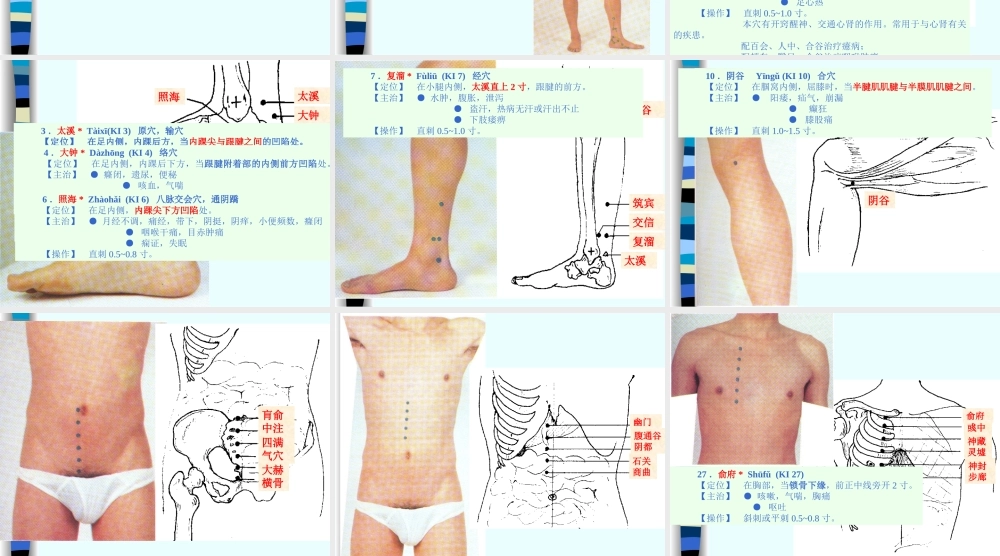 85人体经络穴位图谱8肾经(1).ppt