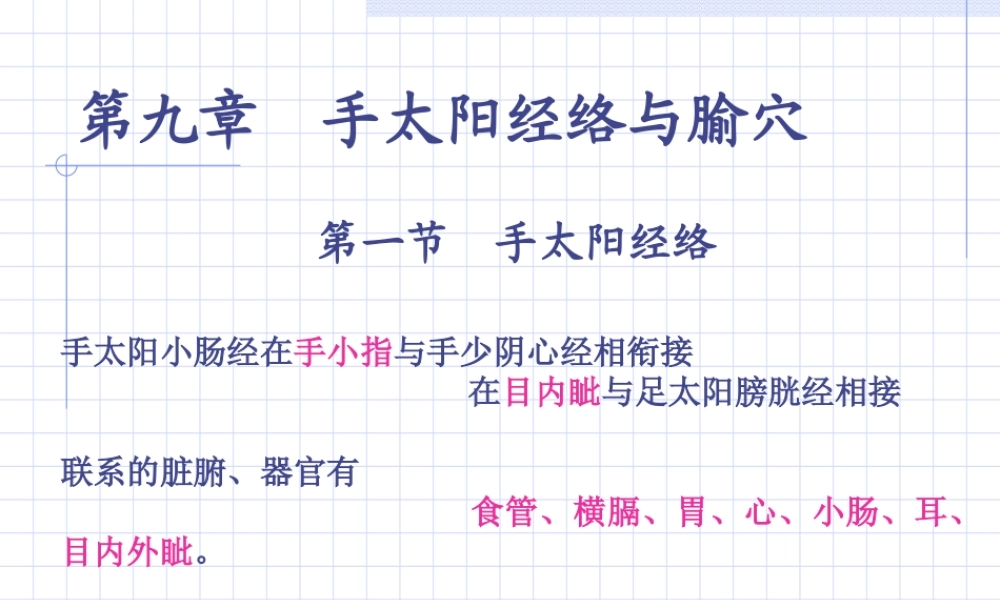 83人体经络穴位图谱6小肠经(1).ppt