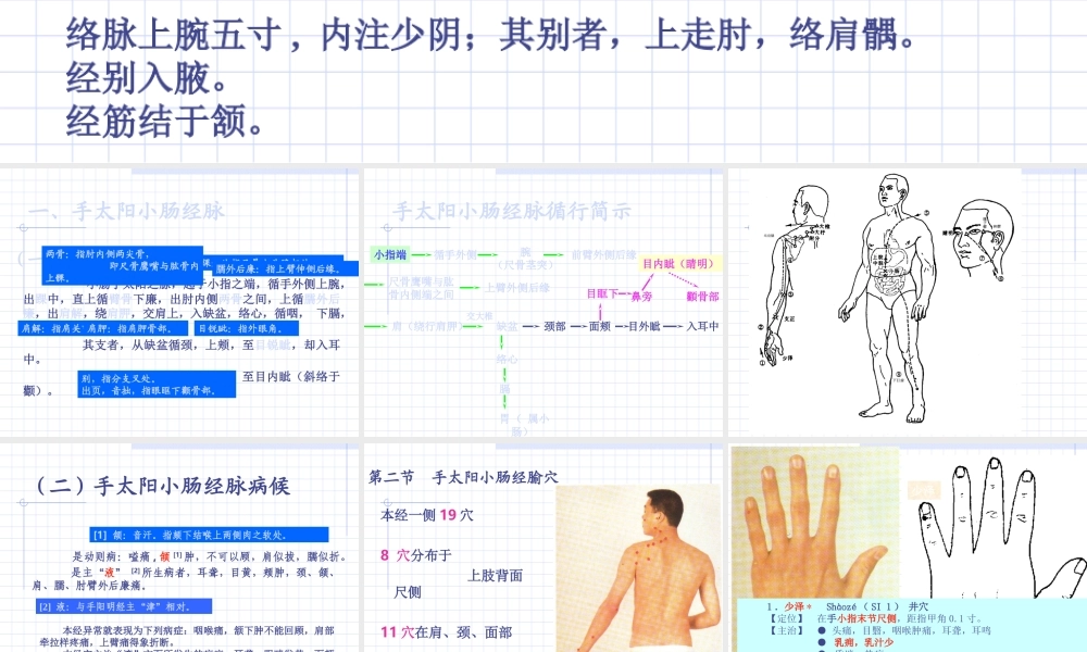 83人体经络穴位图谱6小肠经(1).ppt