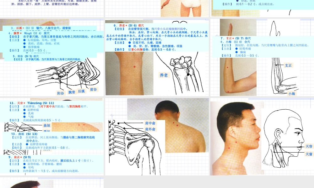 83人体经络穴位图谱6小肠经(1).ppt