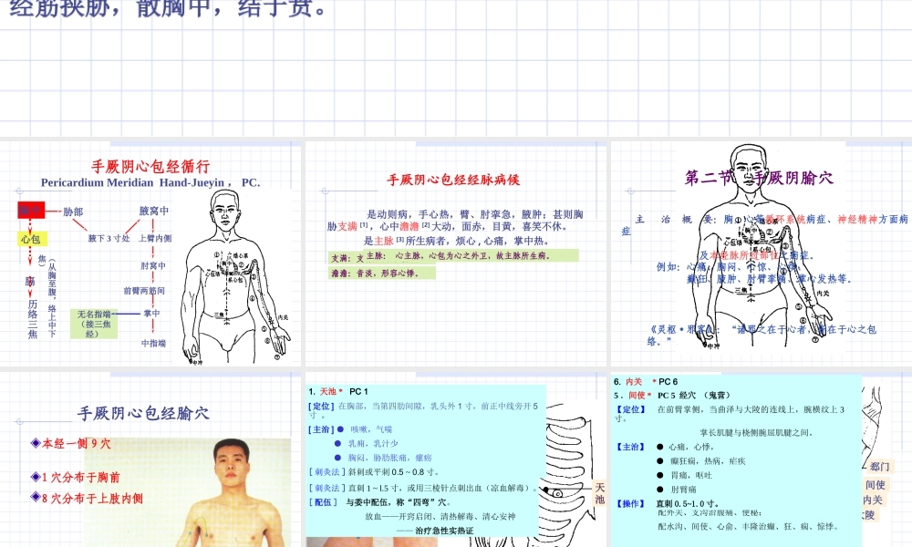86人体经络穴位图谱9心包经(1).ppt