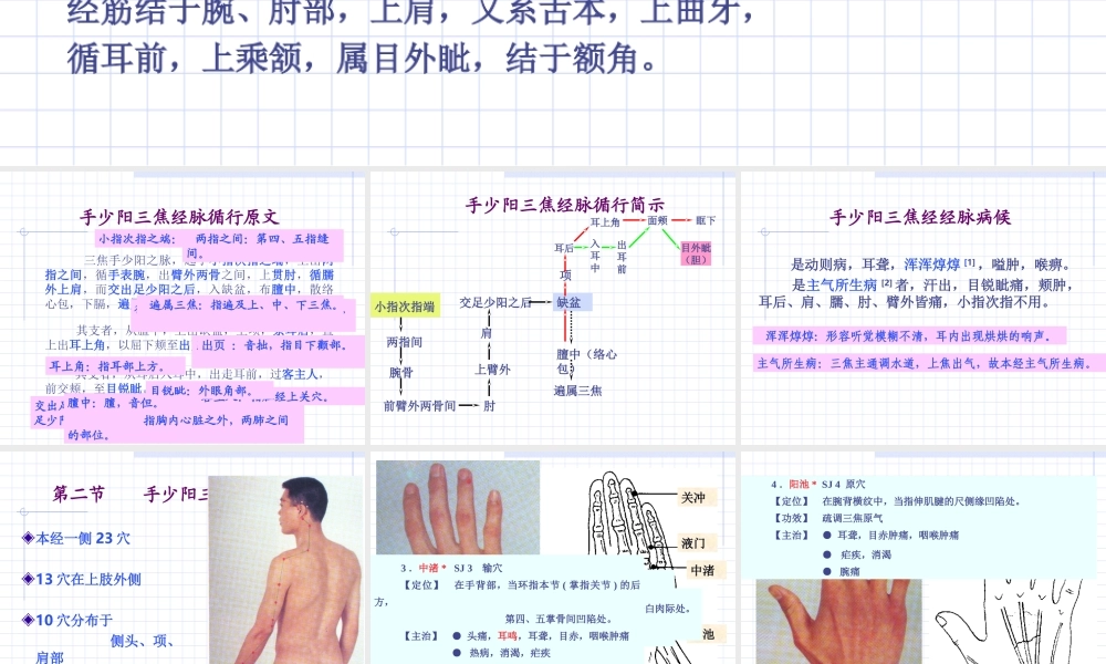 87人体经络穴位图谱10三焦经(1).ppt