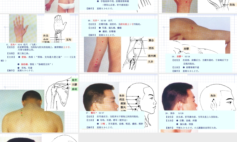 87人体经络穴位图谱10三焦经(1).ppt