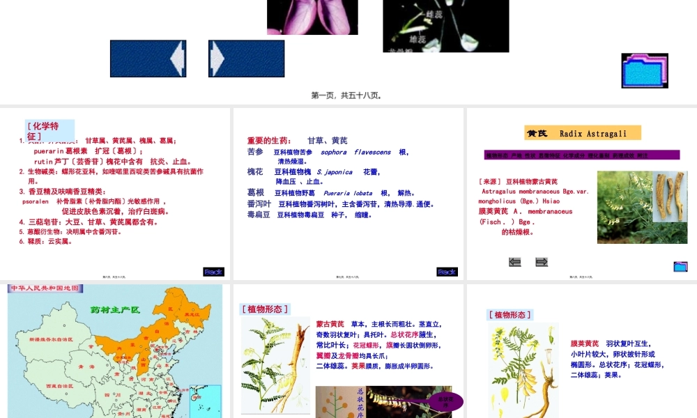 8生药学--豆科.pptx
