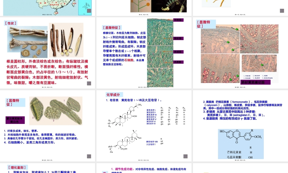 8生药学--豆科.pptx