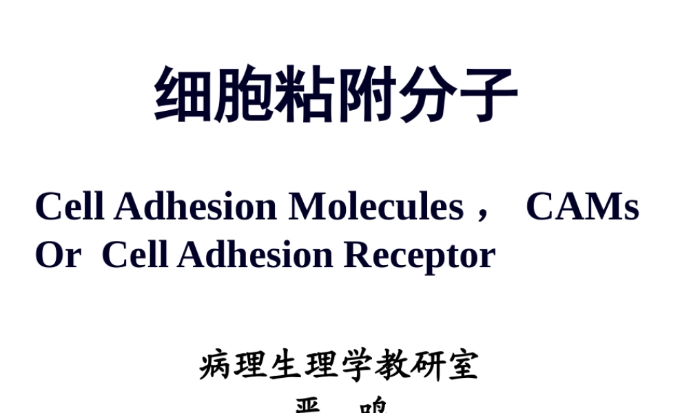 8细胞粘附分子(研01).pptx