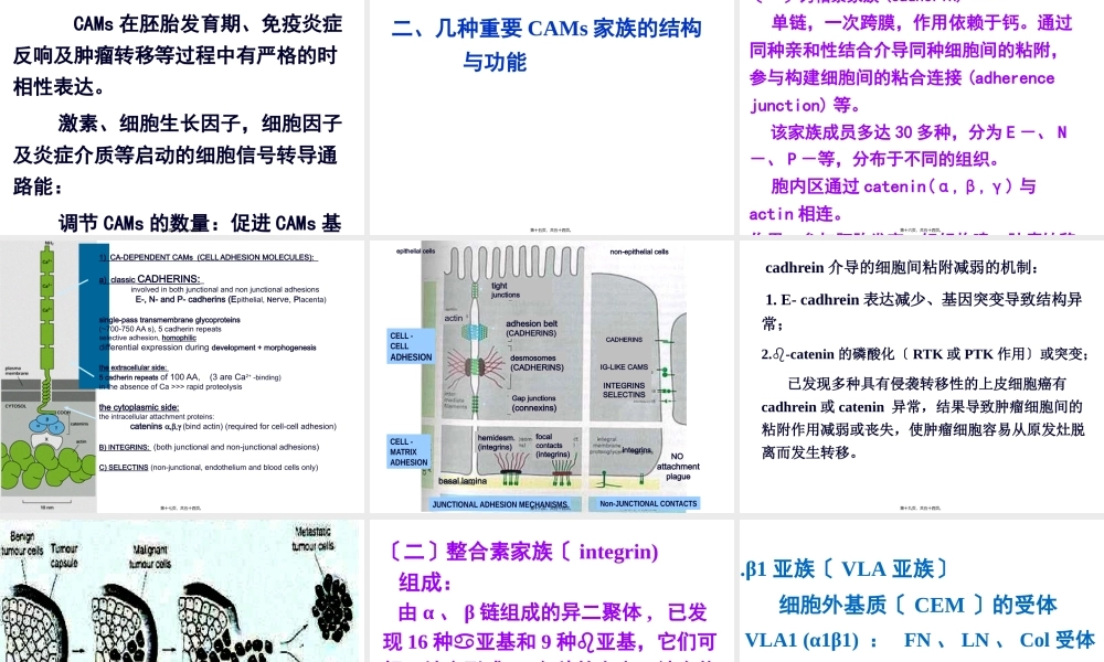 8细胞粘附分子(研01).pptx