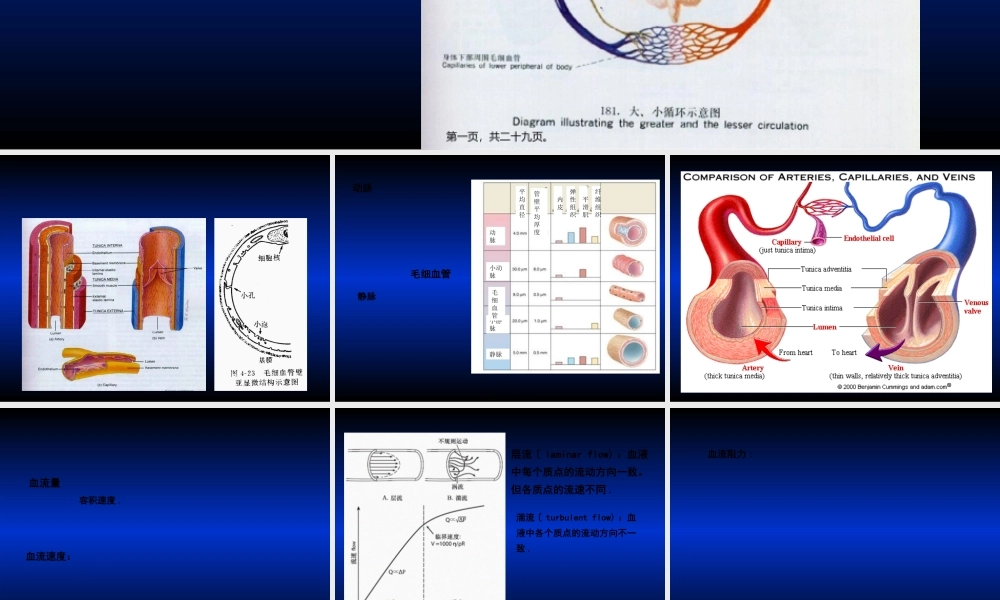 8血管生理.pptx