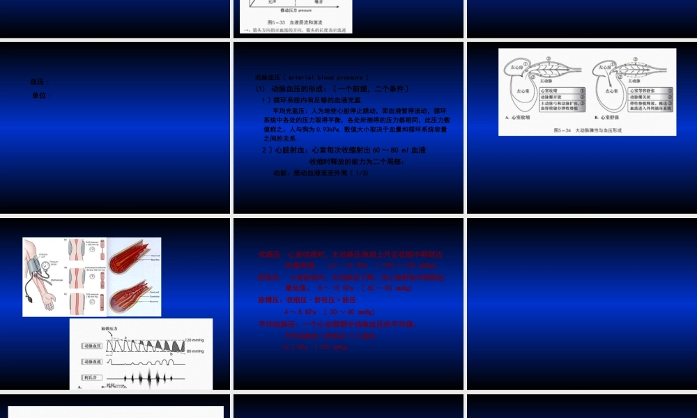8血管生理.pptx