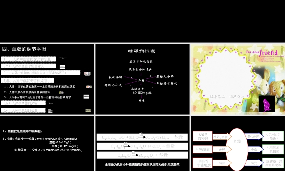 8血糖调节.ppt