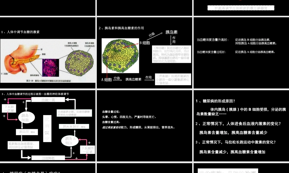 8血糖调节.ppt