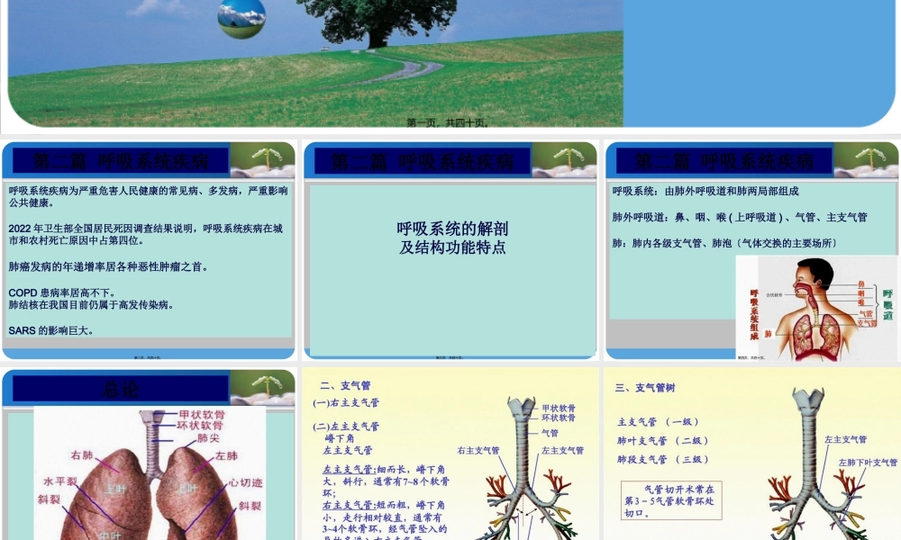9.13急性上呼吸道感染.pptx