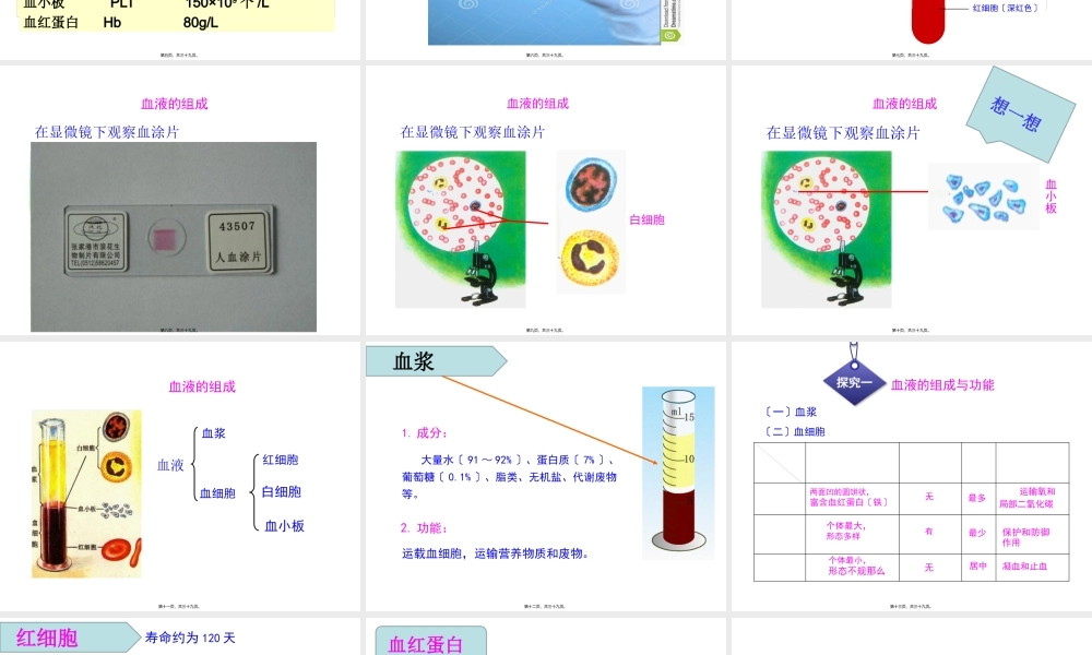 9.1-血液.pptx