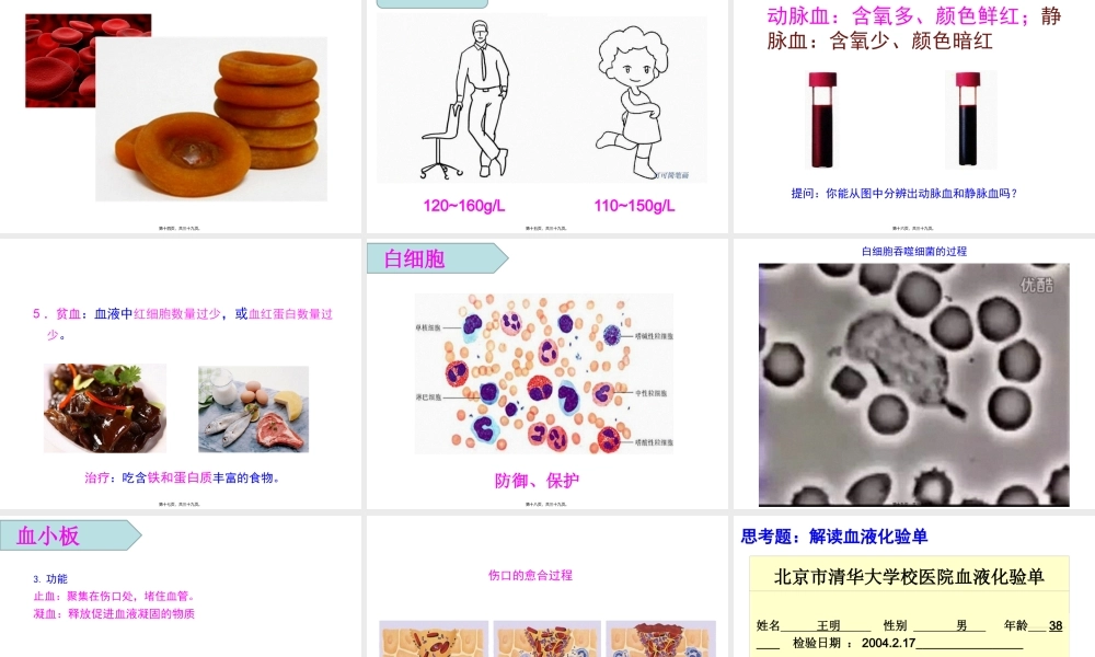 9.1-血液.pptx