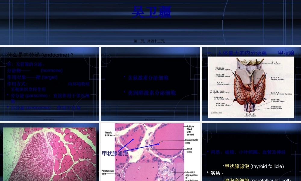 9.内分泌系统.pptx