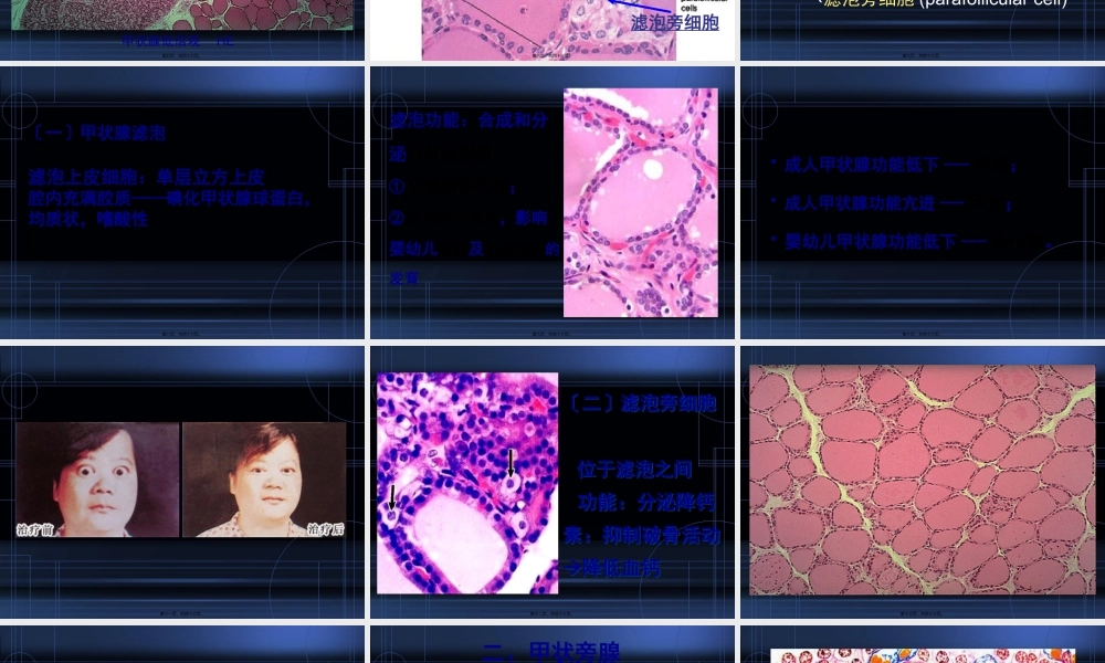 9.内分泌系统.pptx