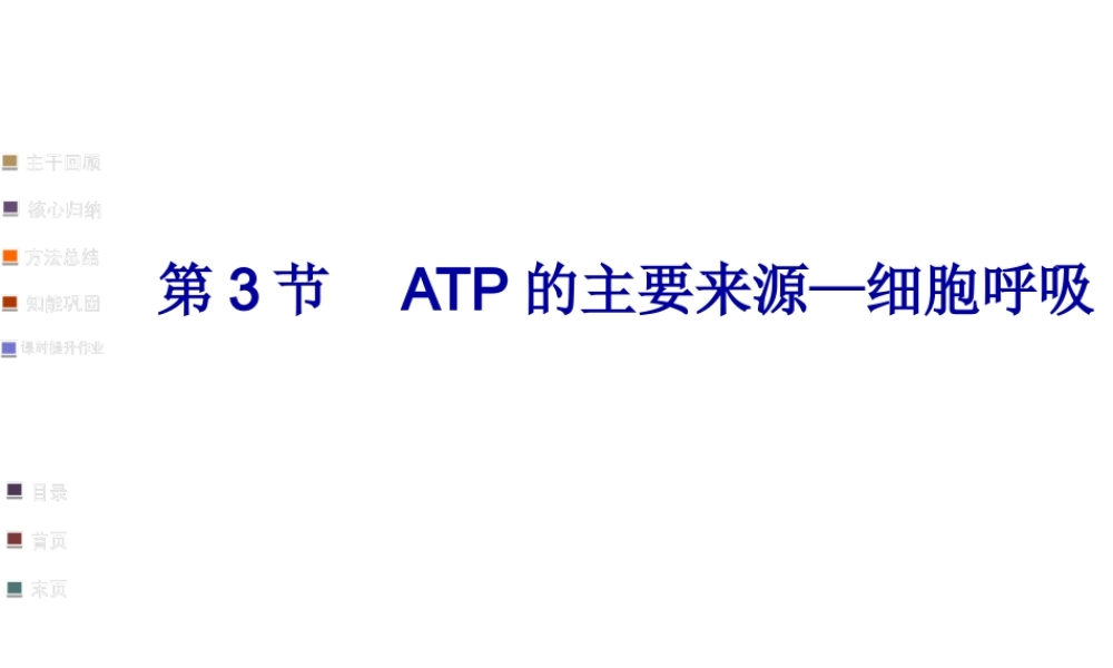 918细胞呼吸适合一轮复习自己做的公开课.pptx