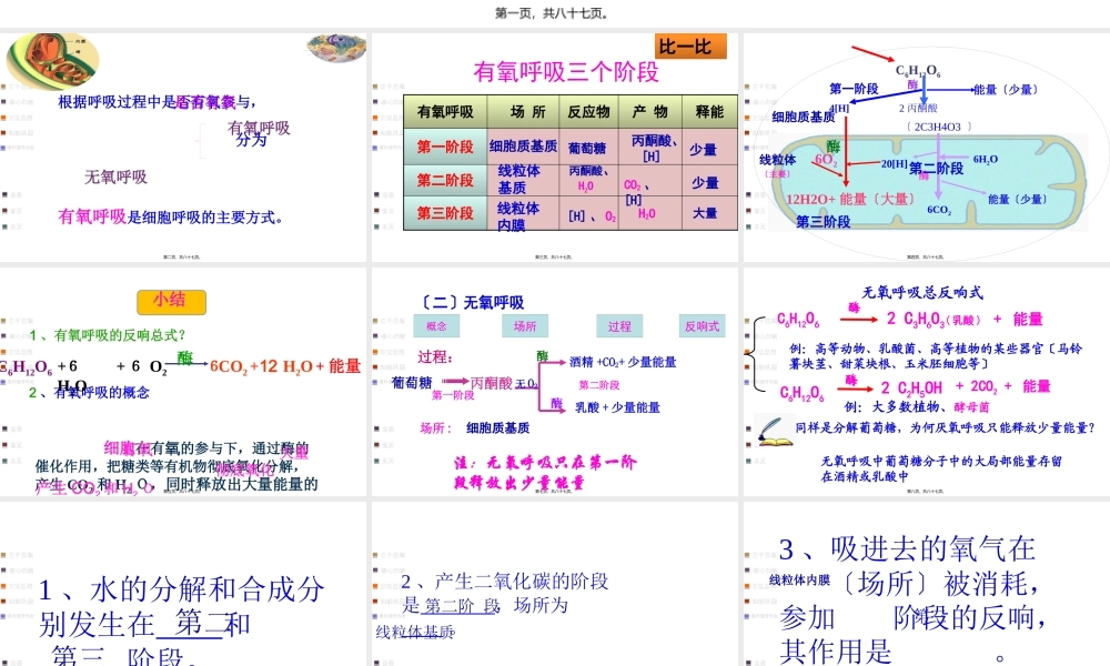 918细胞呼吸适合一轮复习自己做的公开课.pptx