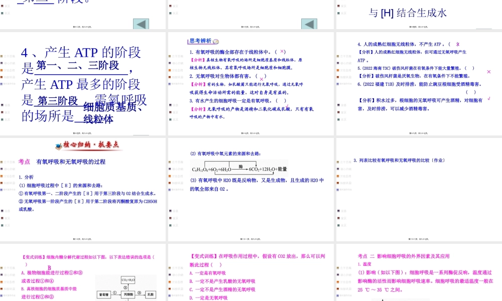 918细胞呼吸适合一轮复习自己做的公开课.pptx