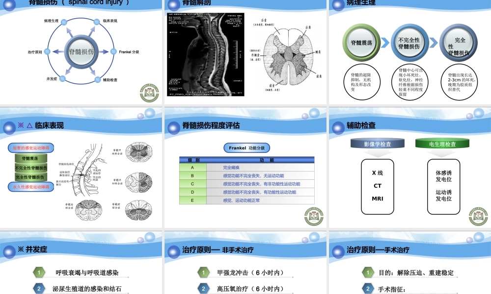 95神经内科-脊柱脊髓损伤、骨盆骨折(1).ppt