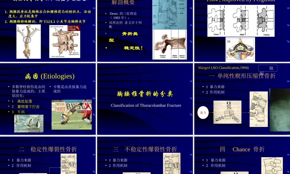 96神经内科-脊柱脊髓损伤授课幻灯片(改).pptpp(1).ppt