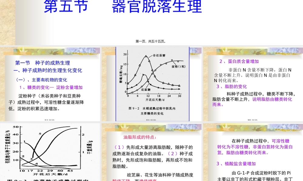 9成熟和衰老生理.pptx