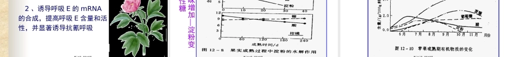 9成熟和衰老生理.pptx