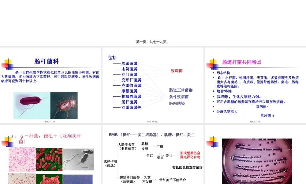 9肠道感染细菌.pptx